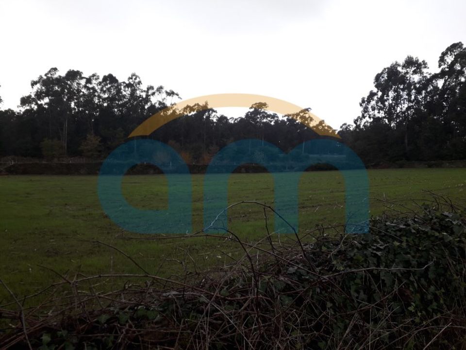 Helårsgrund i Esposende, Braga - foto 1