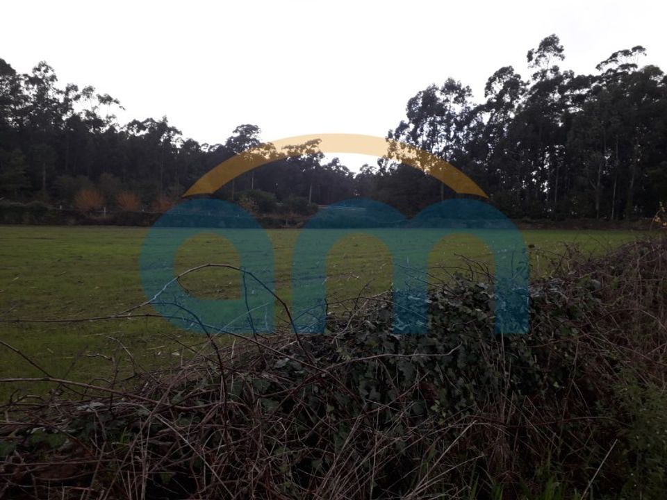 Helårsgrund i Esposende, Braga - foto 2