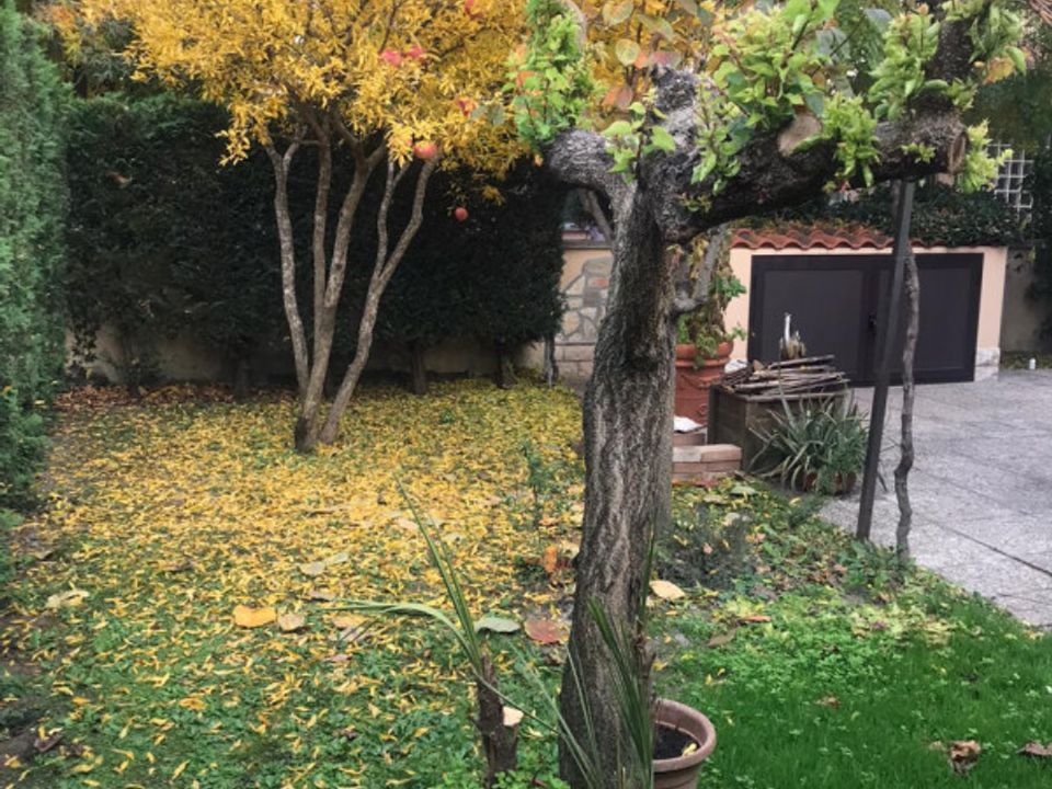 Villa i Lagosanto, Ferrara - foto 3
