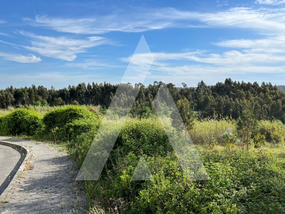 Helårsgrund i Oliveira do Bairro, Aveiro - foto 4