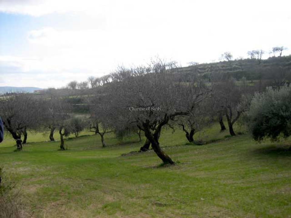 Terreno Giarratana, Ragusa - foto 4