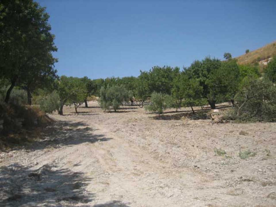 Terreno Giarratana, Ragusa - foto 5