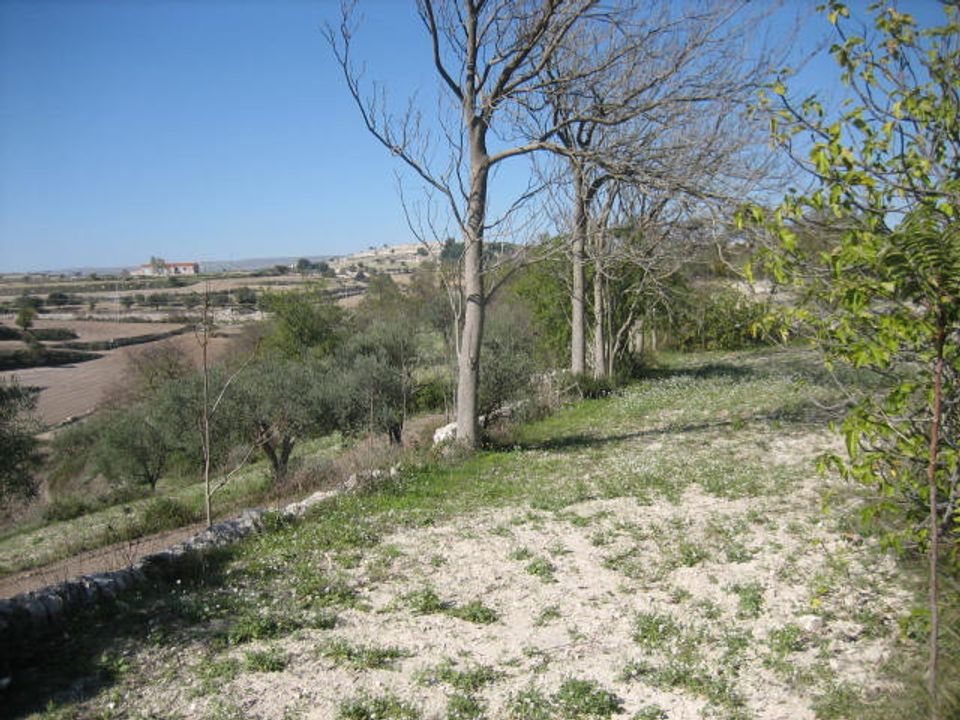 Helårsgrund i Ragusa, Ragusa - foto 3
