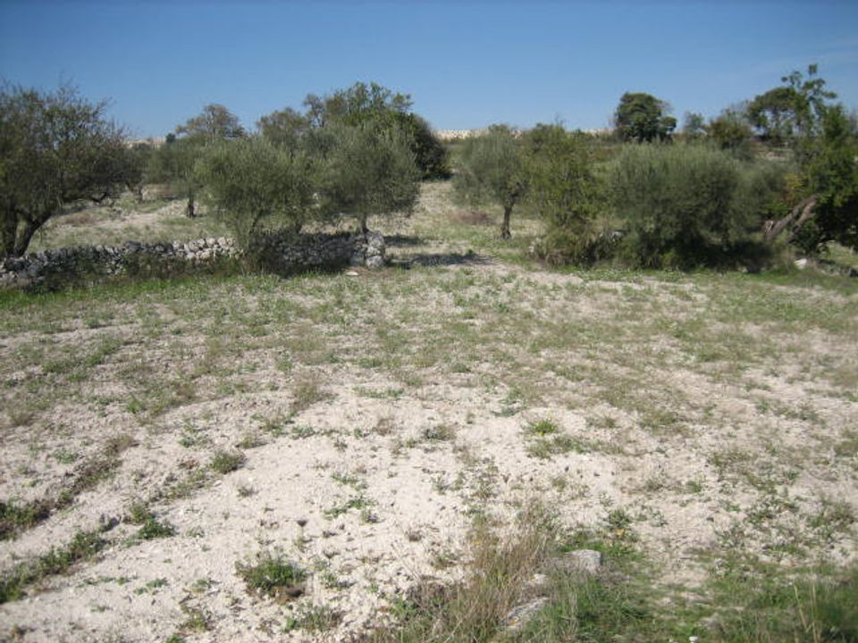 Helårsgrund i Ragusa, Ragusa - foto 4