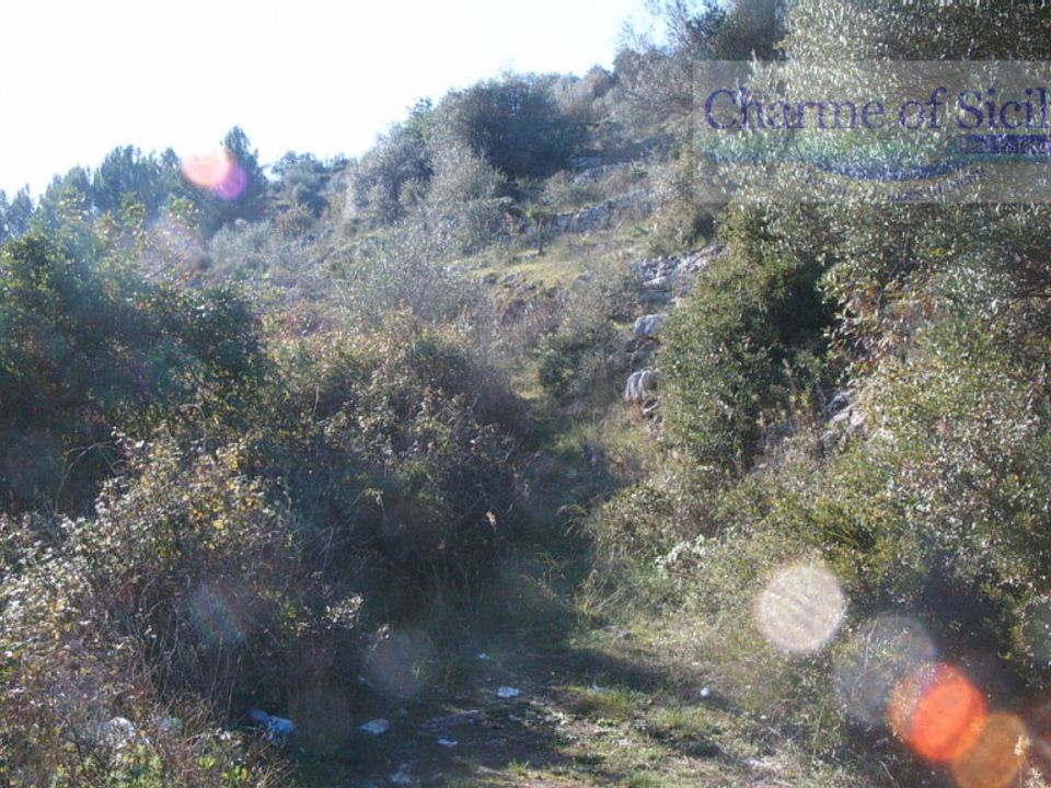 Helårsgrund i Ragusa, Ragusa - foto 5
