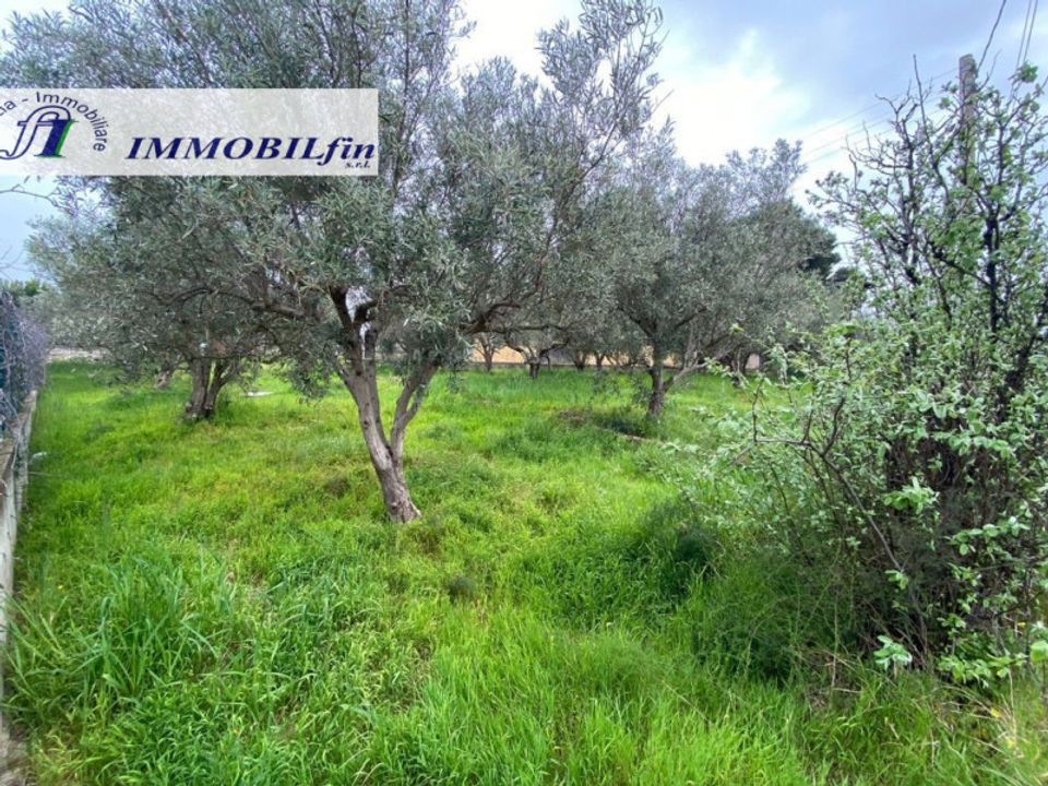 Helårsgrund i Misilmeri, Palermo - foto 3