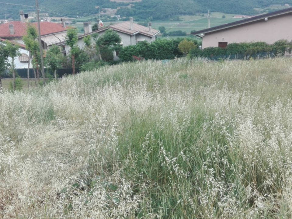 Helårsgrund i Val Liona, Vicenza - foto 3