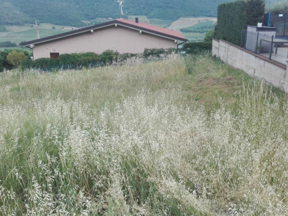 Helårsgrund i Val Liona, Vicenza - foto 4