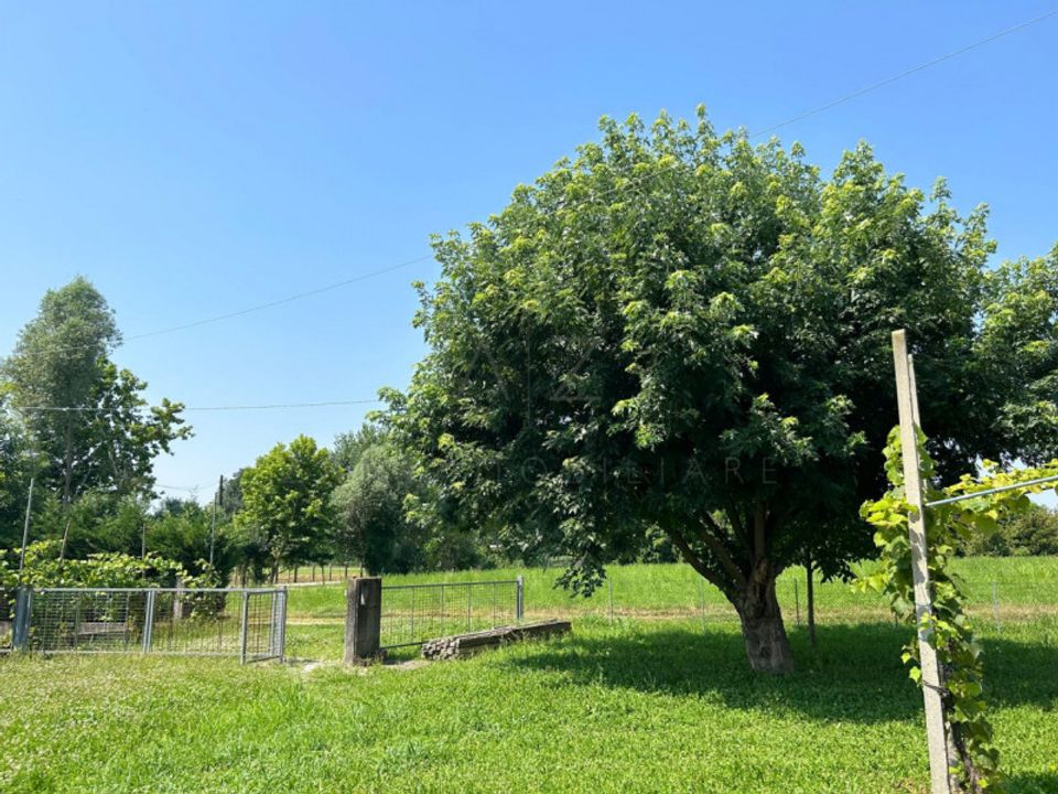 Landejendom i Castelfranco Veneto, Treviso - foto 4