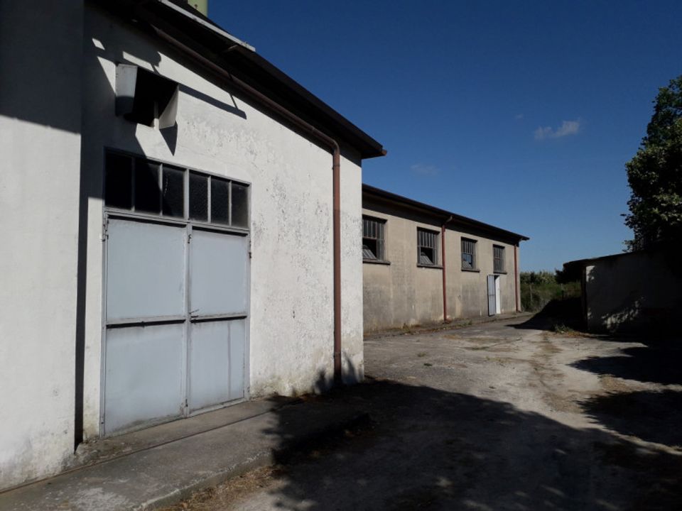 Erhvervsejendom i Trecenta, Rovigo - foto 4