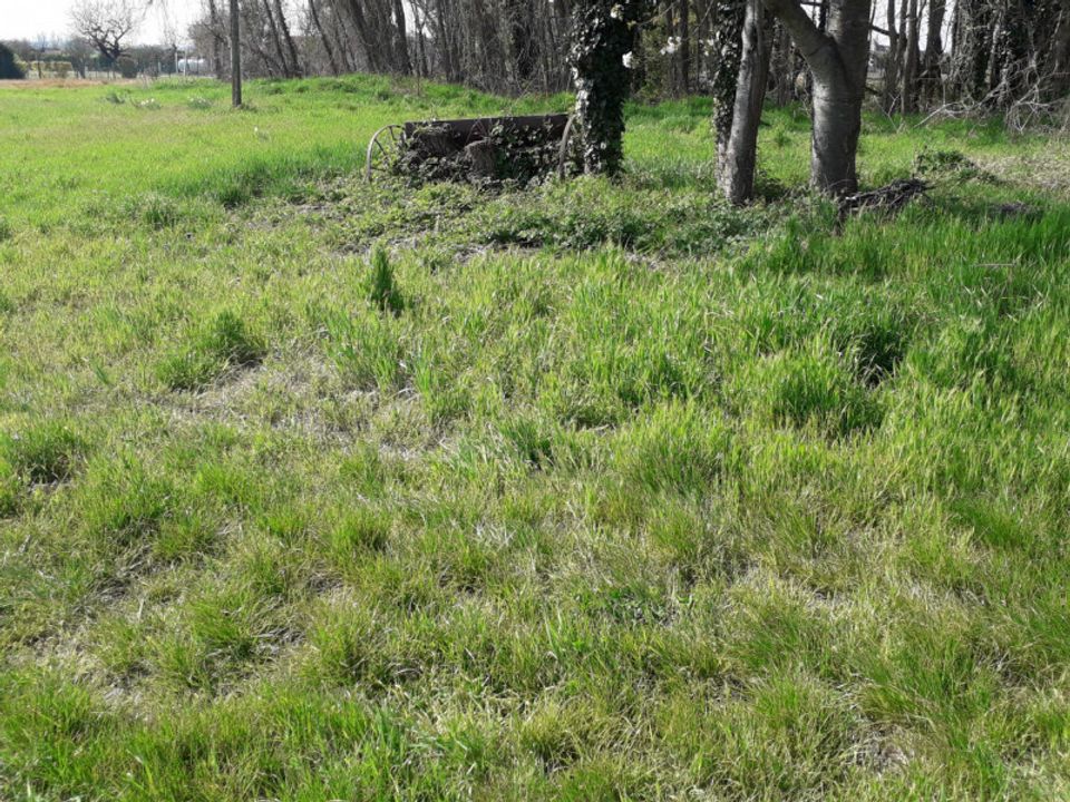 Villa i Canda, Rovigo - foto 5