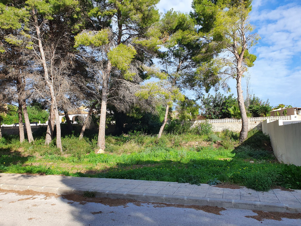 Helårsgrund i Moraira, Alicante - foto 2