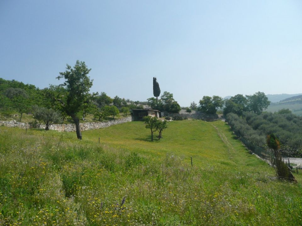 Helårsgrund i Tregnago, Verona - foto 4