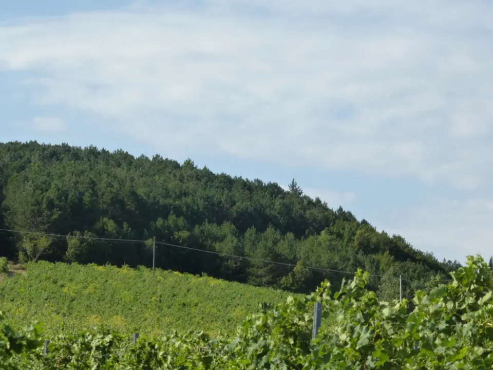 Tomt i Tregnago, Verona - bilde 1