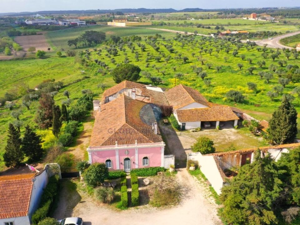 Farm i Riachos, Santarem - foto 2