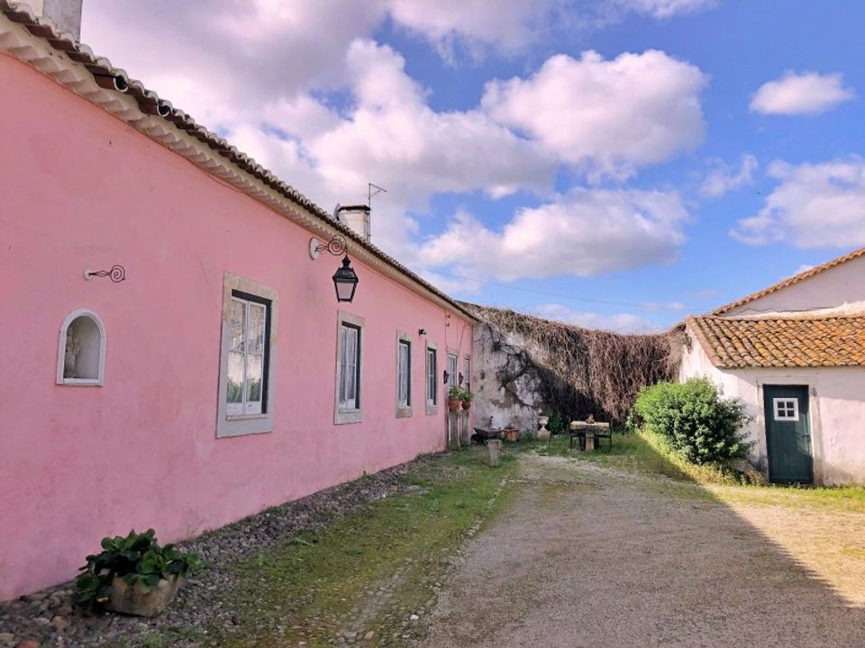 Farm i Riachos, Santarem - foto 4