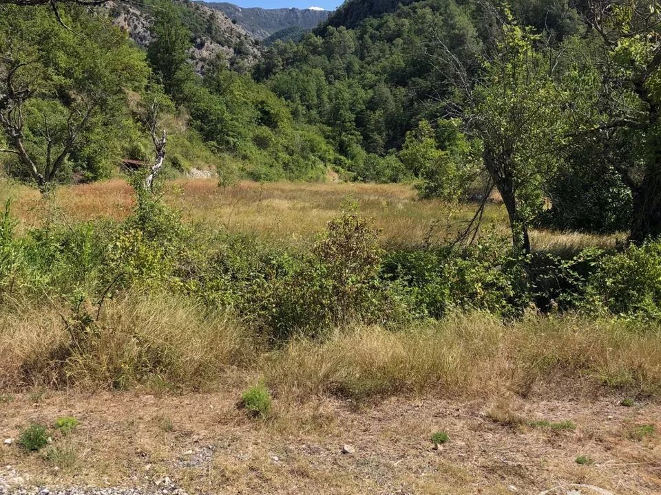 Helårsgrund i Cuébris, Alpes-Maritimes - foto 5