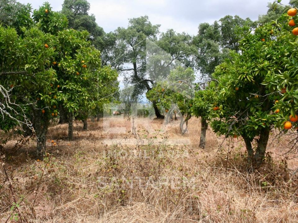 Villa i Carregueira, Santarem - foto 4
