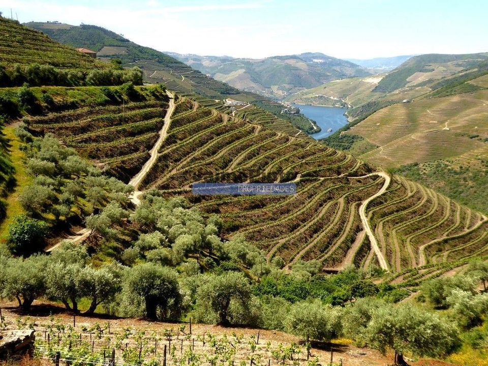 Terra a Sabrosa, Vila Real - foto 1