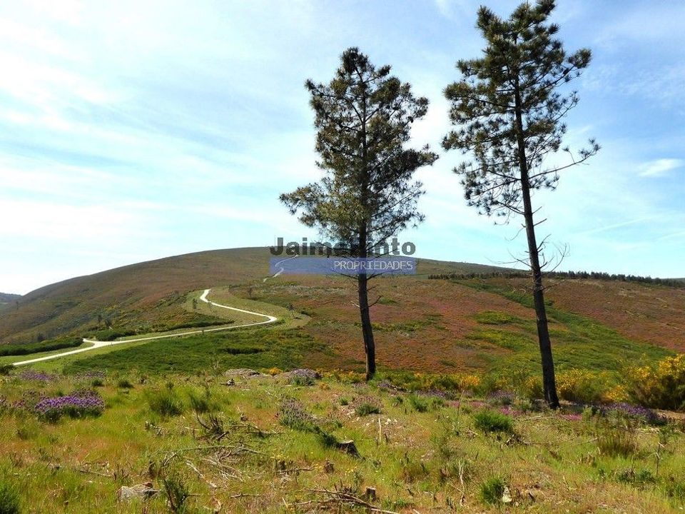 Terra a Sabrosa, Vila Real - foto 1