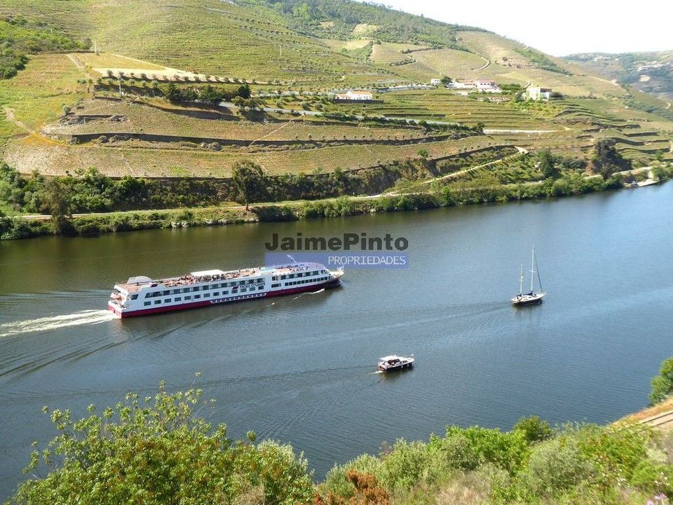 Terra a Sabrosa, Vila Real - foto 5