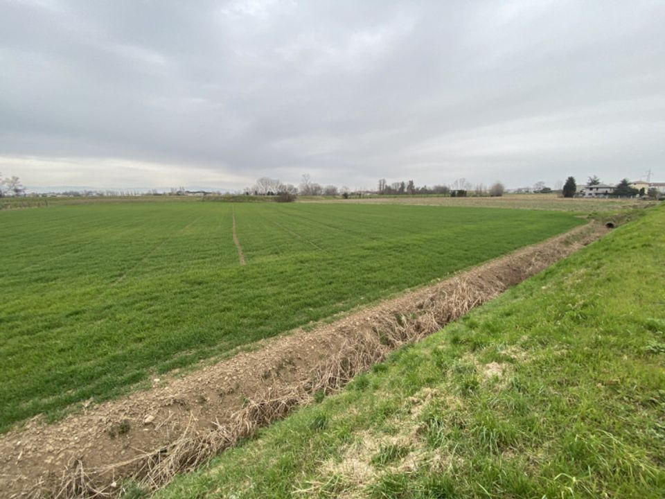Helårsgrund i Veggiano, Padua - foto 1