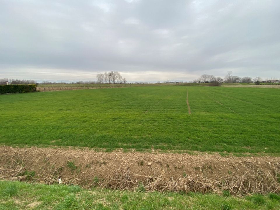 Helårsgrund i Veggiano, Padua - foto 3