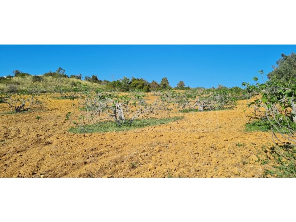 Helårsgrund i Armacao de Pera, Faro - foto 2