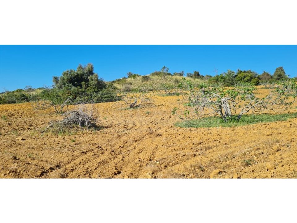 Helårsgrund i Armacao de Pera, Faro - foto 5