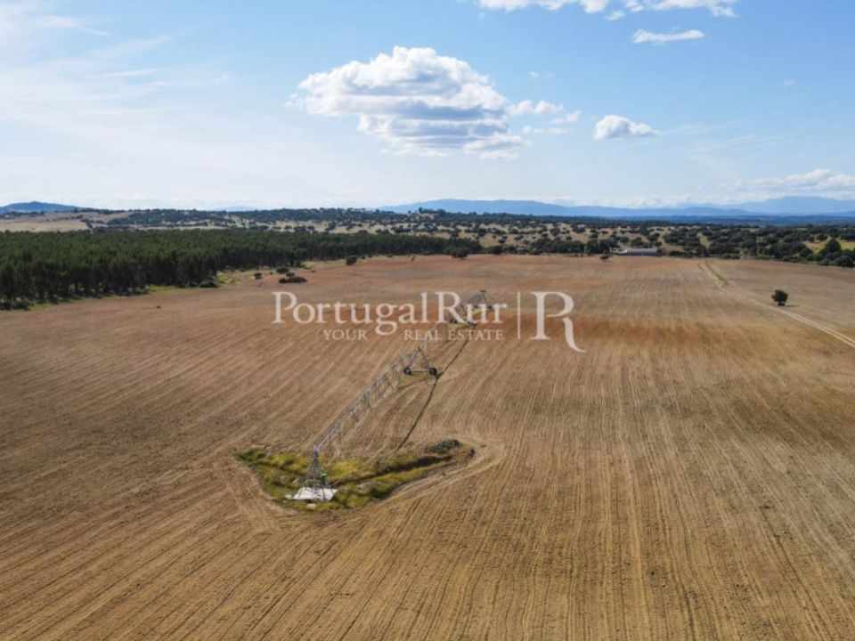 Landejendom i Idanha-a-Nova, Castelo Branco - foto 3