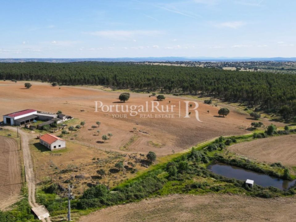 Landejendom i Idanha-a-Nova, Castelo Branco - foto 2