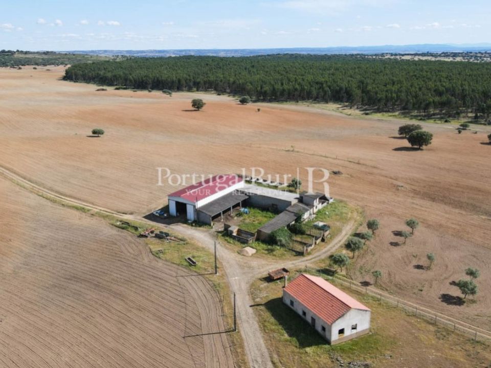 Landejendom i Idanha-a-Nova, Castelo Branco - foto 5