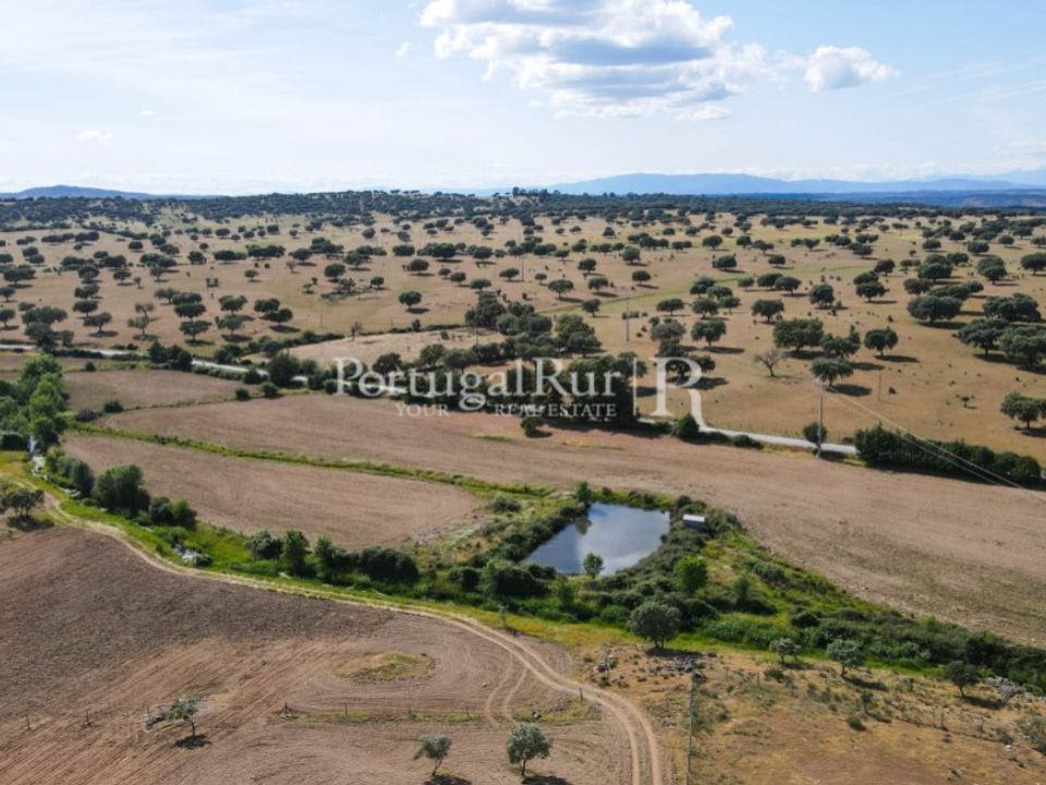Landejendom i Idanha-a-Nova, Castelo Branco - foto 4