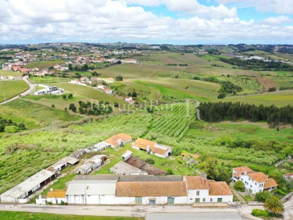 Granja a Carvalhal, Leiria - foto 4