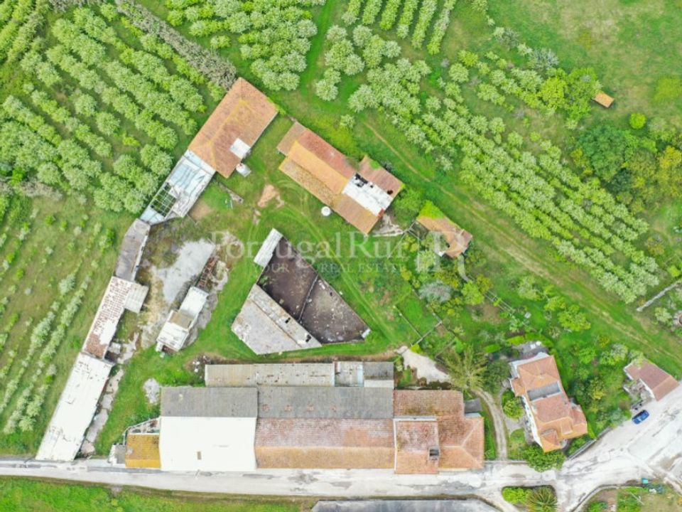 Granja a Carvalhal, Leiria - foto 2
