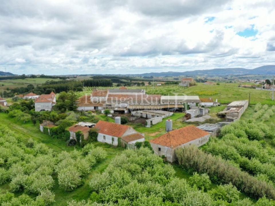 Granja a Carvalhal, Leiria - foto 3