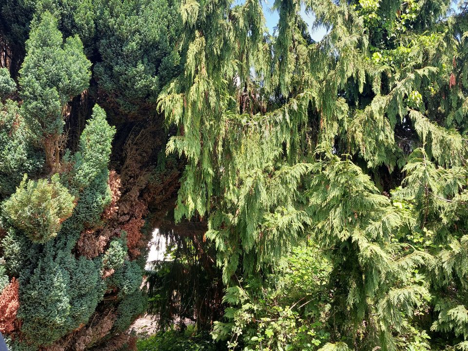 Villa i Saint-Yorre, Allier - foto 2
