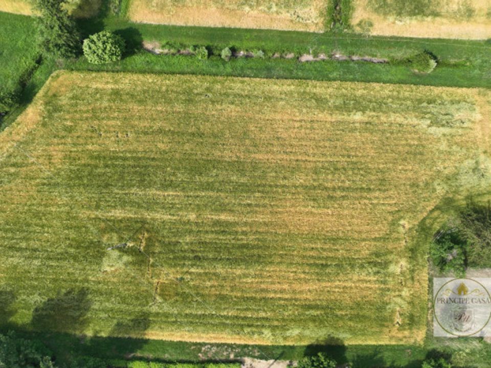 Terreno en Baone, Padua - foto 5
