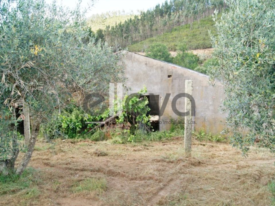 Helårsgrund i Cambas, Castelo Branco - foto 4