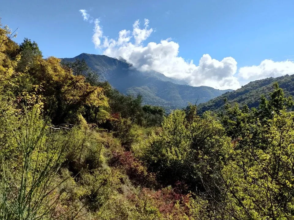 Helårsgrund i Sospel, Alpes-Maritimes - foto 5