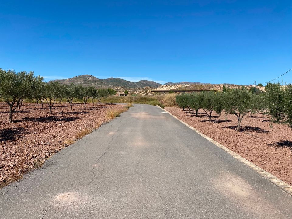 Herregård i Sax, Alicante - bilde 5