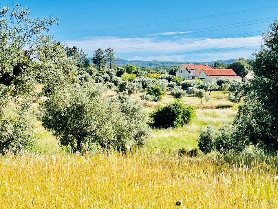 Helårsgrund i Tomar, Santarem - foto 3