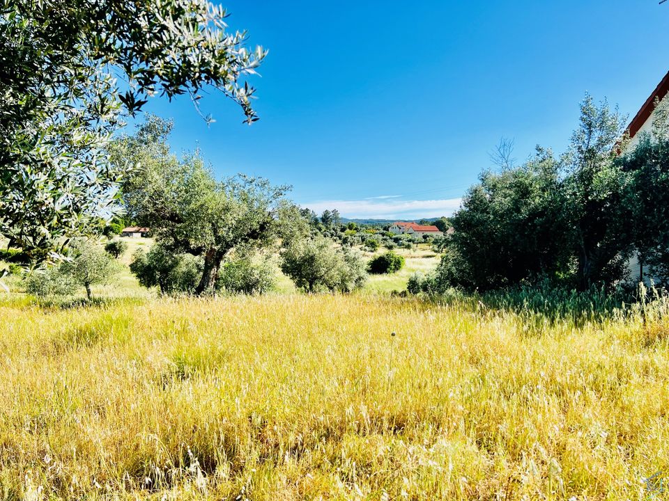 Helårsgrund i Tomar, Santarem - foto 4