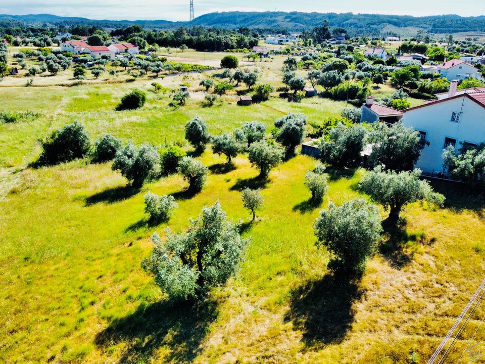 Helårsgrund i Tomar, Santarem - foto 5