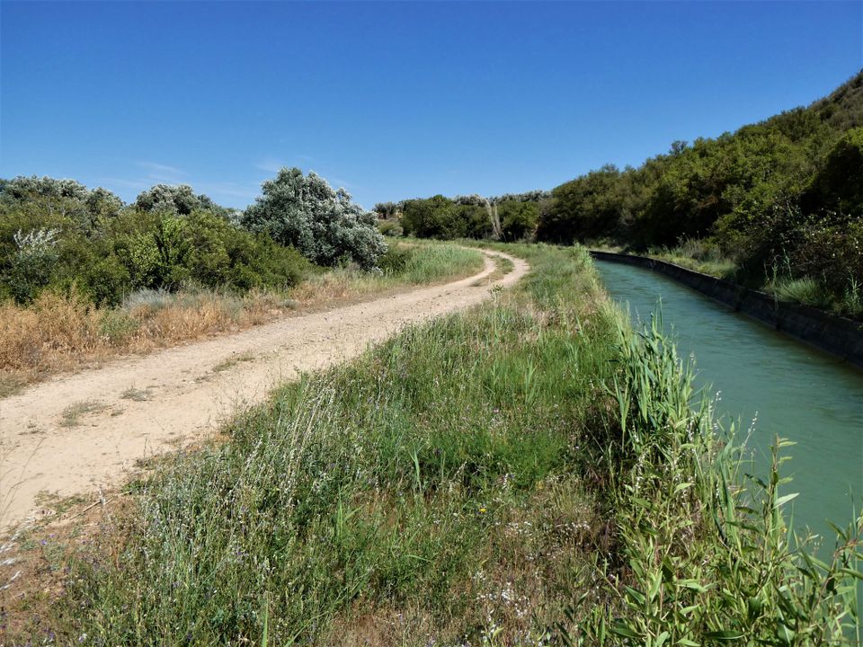 Finca i Caspe, Zaragoza - bilde 3