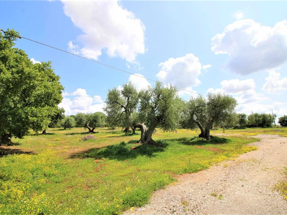 Helårsgrund i Martina Franca, Taranto - foto 2