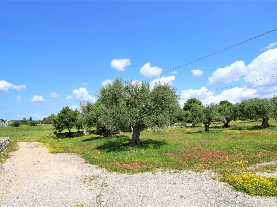 Helårsgrund i Martina Franca, Taranto - foto 3