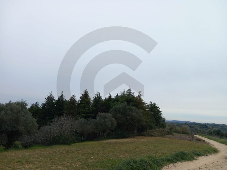 Helårsgrund i Torres Novas, Santarem - foto 2