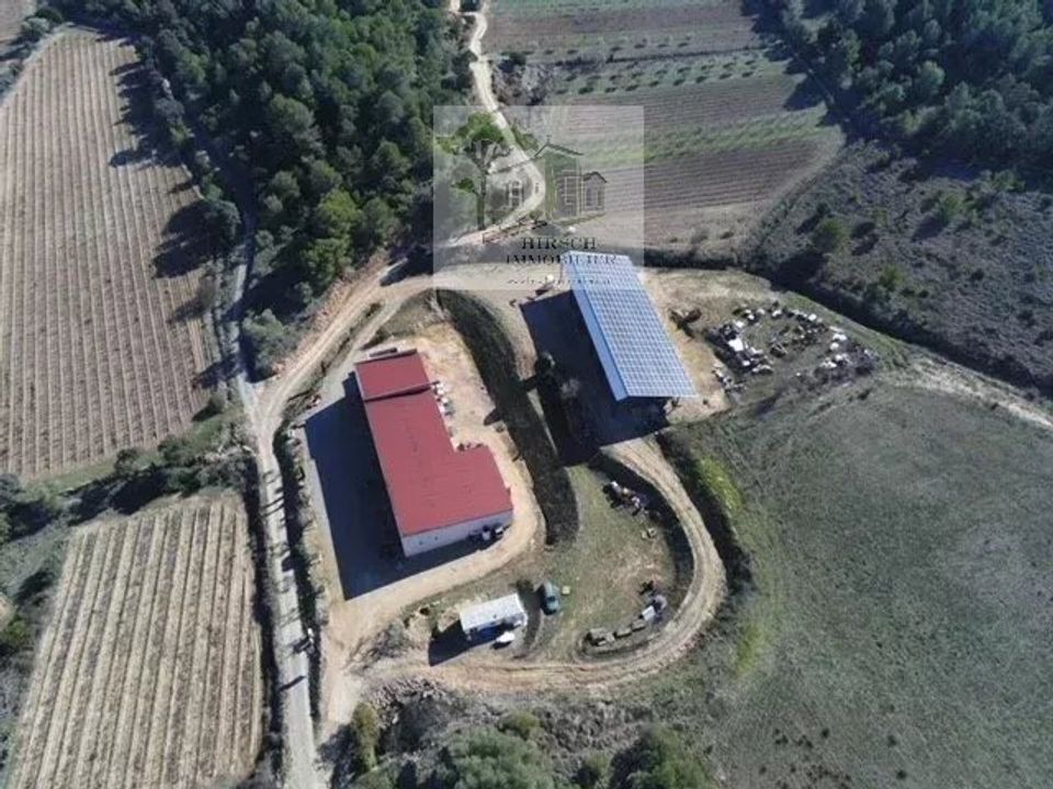Villa i Ginestas, Aude - bilde 1