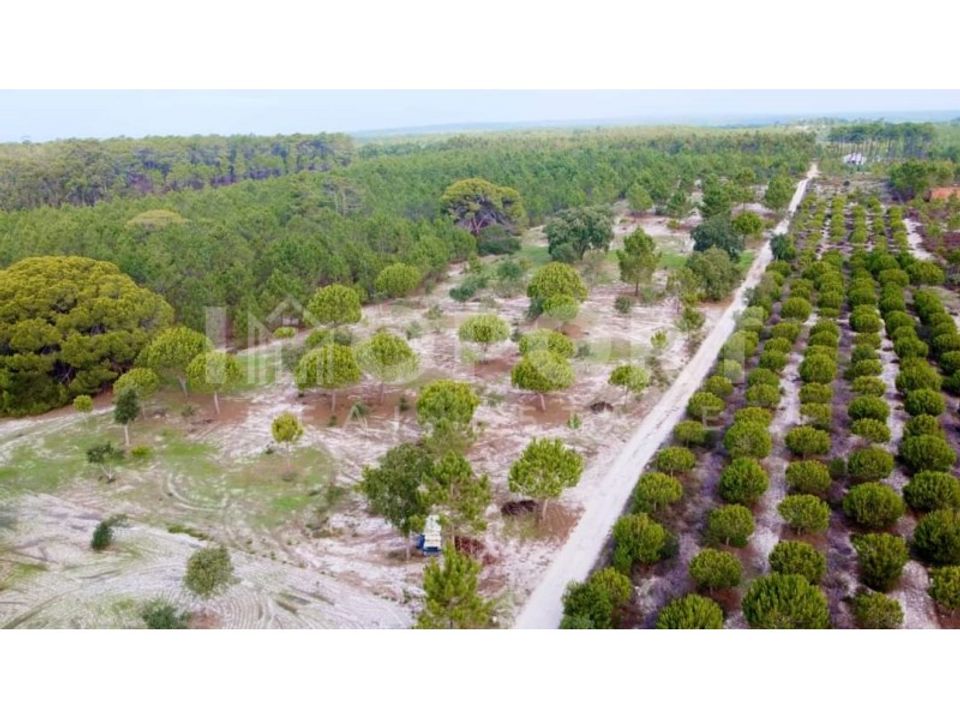 Terreno en Santo Andre, Setubal - foto 2